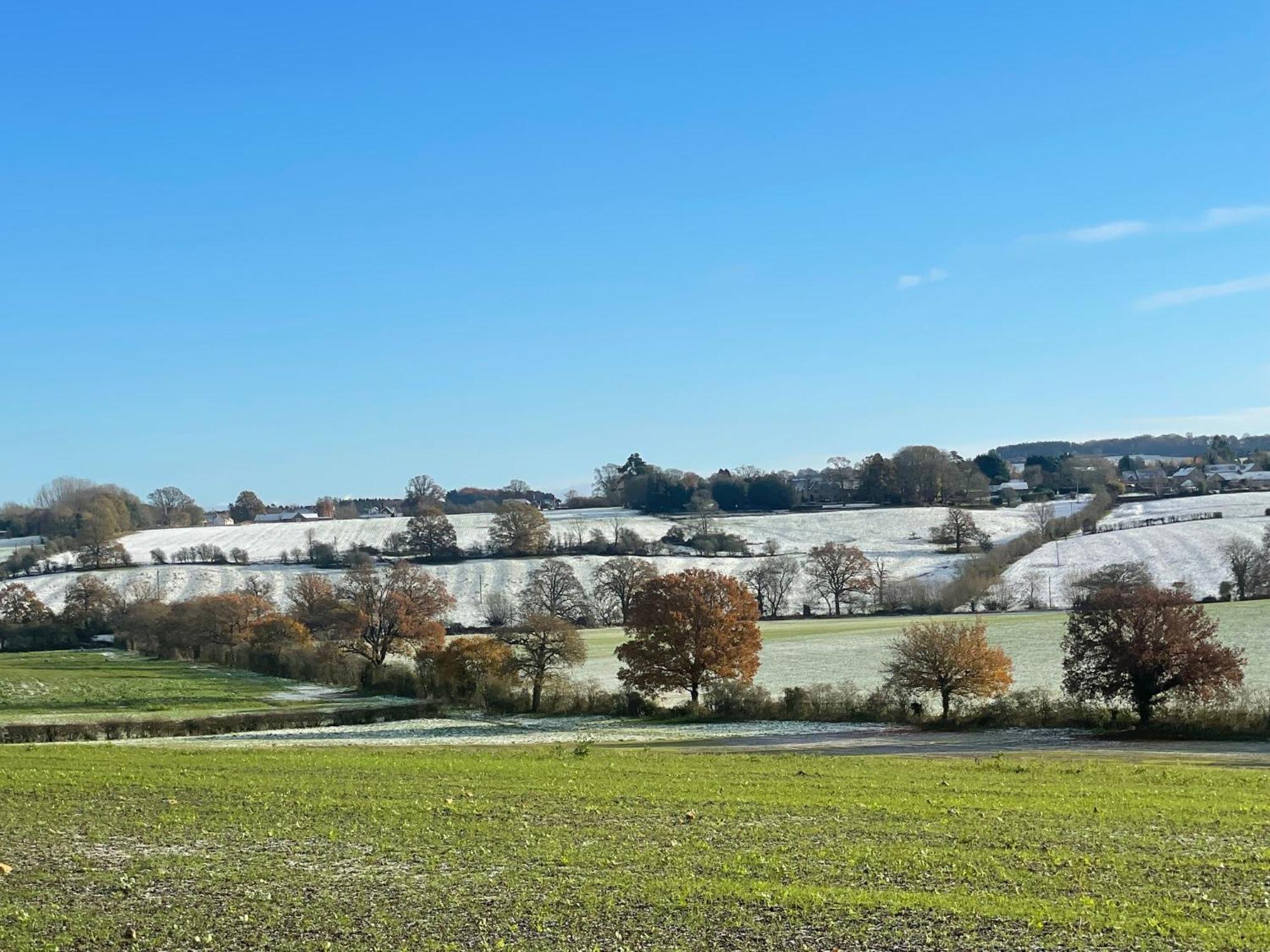 Bank Cottage Studio - Luxury Cotswolds Haven For Two 希普顿斯图尔 外观 照片